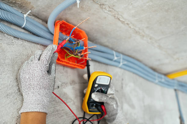 Best Local Electrician Companies  in South Pasadena, FL