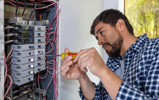 Best Electrical Rewiring Services  in South Pasadena, FL